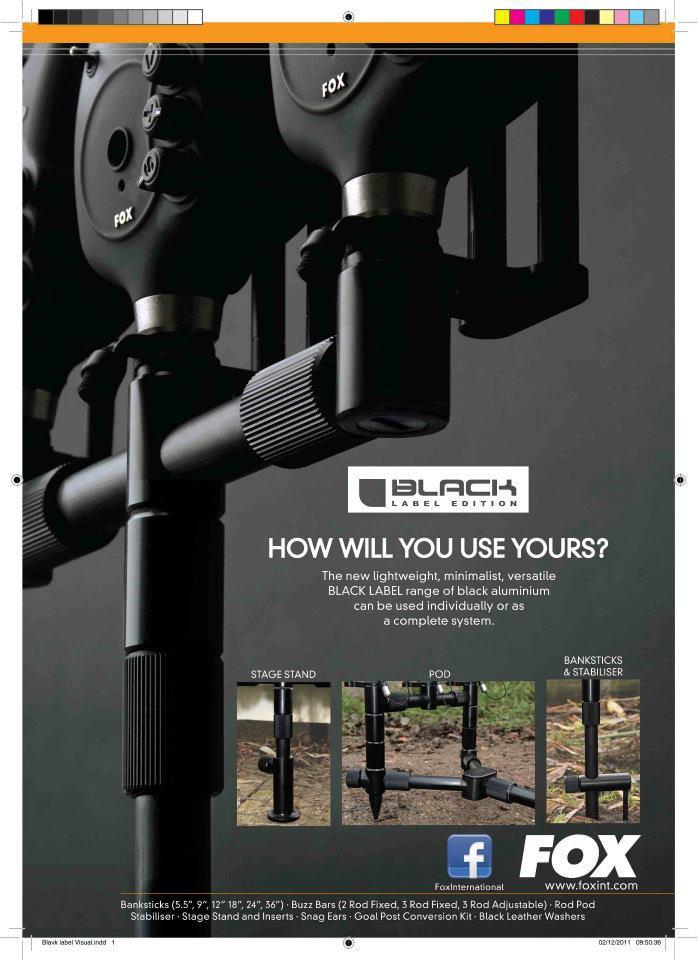 FOX - 4011563001246367117911931442107n.jpg